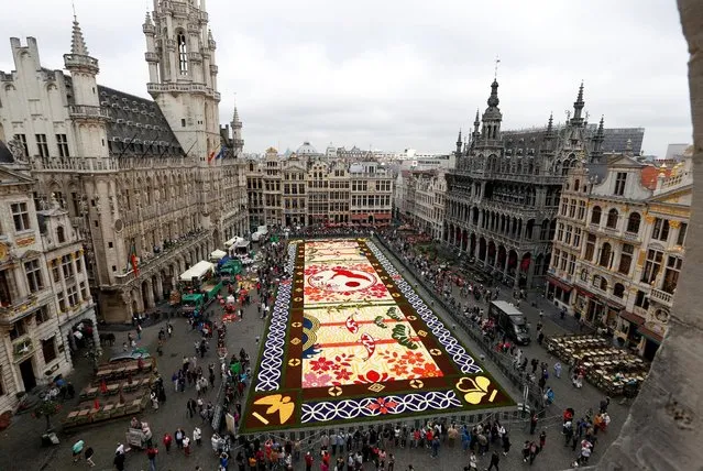 A giant flower carpet made of begonias and dahlias is pictured on Brussels' Grand Place celebrating the Belgo-Japanese friendship in Brussels, August 12, 2016. (Photo by Francois Lenoir/Reuters)