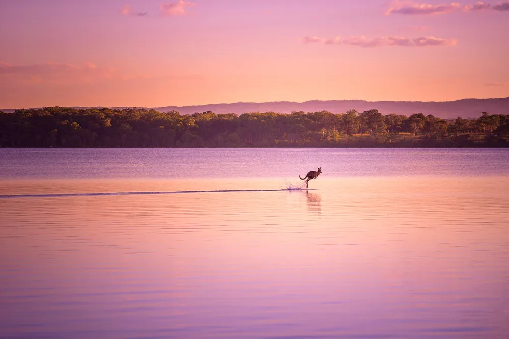 2014 National Geographic Photo Contest, Week 4