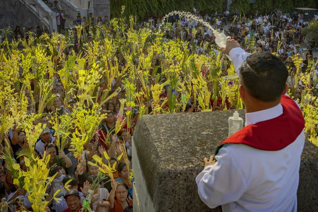 Filipinos wave palm fronds as they celebrate Palm Sunday at the Our Lady of Lourdes Grotto church on April 13, 2025 in San Jose Del Monte, Bulacan, Philippines. Palm Sunday is a Christian holiday commemorating Jesus Christ's triumphant entry into Jerusalem. In the predominantly Catholic Philippines, it is celebrated with colorful processions and the creation of intricate palm frond decorations called “palaspas” to symbolize the welcoming of Jesus as King. (Photo by Ezra Acayan/Getty Images)