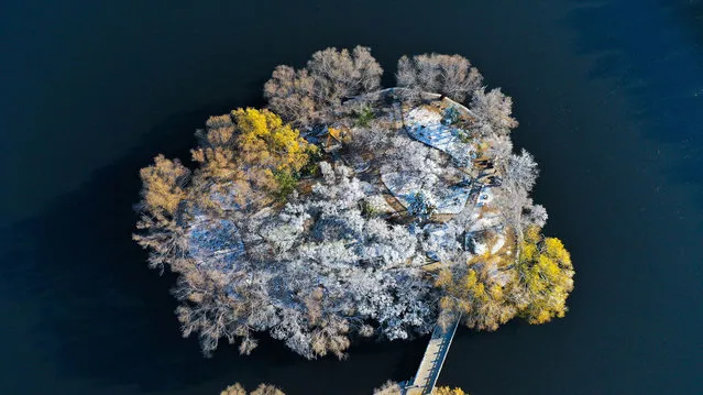 This aerial photo taken on November 13, 2022 shows an aerial view of Beiling Park after snowfall in Shenyang, in China's northeastern Liaoning province. (Photo by AFP Photo/China Stringer Network)