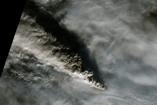 A plume of smoke from Alaska's Pavlof volcano on the lower Alaska peninsula is pictured in this November 15, 2014 NASA handout satellite image. By November 15, Pavlof was lofting ash plumes to an altitude of 30,000 feet (9 kilometers), high enough to disrupt commercial airline flights. (Photo by Reuters/NASA)