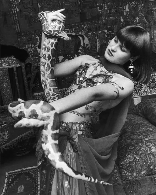 Seventeen-year-old Tammy Van Upp of San Francisco needed a gimmick to go with her belly dancing, so she got this partner a six-foot python named Gideon on February 24, 1975 in San Francisco. The Teenager say she earns enough money entertaining at fairs and parties to keep Gideon satisfied with meal of live rats at cost of 50 cents each. (Photo by AP Photo)
