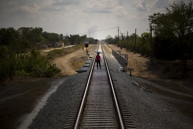 In this March 23, 2015 photo, a woman who just got off the train uses the tracks to cross a bridge after arriving to her destination in the province of Holguin, Cuba. Cuba became the first Latin American country with a train system in the mid-19th century, with the network growing to 5,600 miles of rails crisscrossing the island before the system fell into disrepair. Currently, a longstanding U.S. trade embargo makes it hard to get parts. (Photo by Ramon Espinosa/AP Photo)