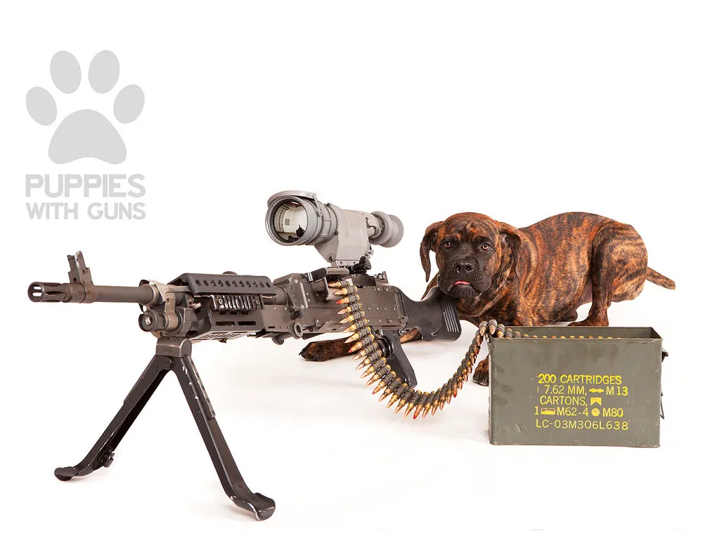 Puppies with Guns Calendar 2015