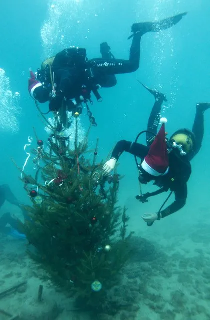 Divers decorate a Christmas tree in the Adriatic sea in Selce, south Croatia, December 20, 2014. (Photo by Antonio Bronic/Reuters)