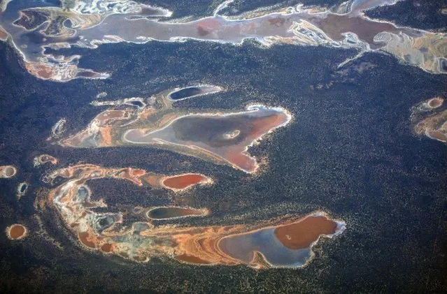 Salt pans and dams are scattered across drought effected farmland in Western Australia, November 12, 2015. A pioneering Australian scheme to improve the management of water in the world's driest inhabited continent is facing its first real test as an intensifying El Nino threatens crops and builds tensions between farmers and environmentalists. (Photo by David Gray/Reuters)