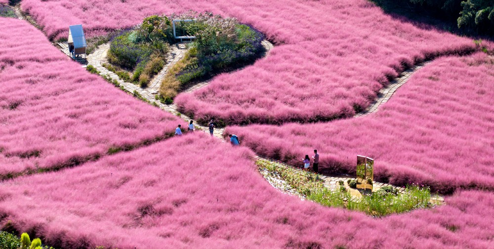 A Look at Life in South Korea