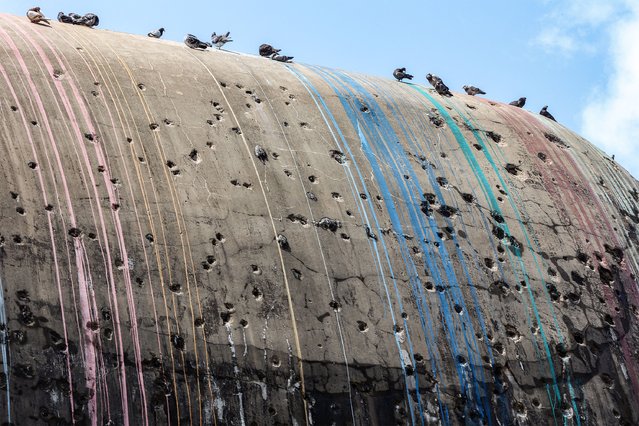 Pigeons perch on the bullet-riddled roof of the unfinished “Egg” theatre building in the centre of Beirut on April 13, 2023, damaged during the course of the country's fifteen-year-long civil war. (Photo by Anwar Amro/AFP Photo)