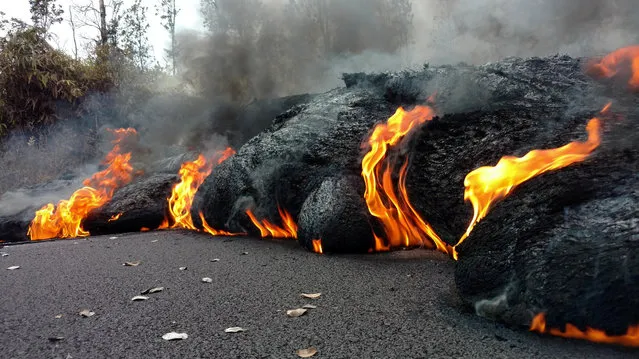 A lava flow is seen on a road in Pahoa, Hawaii, U.S., May 17, 2018 in this picture obtained from social media on May 18, 2018. (Photo by Kris Burmeister/Reuters)