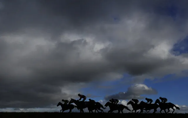 Runners in The Higos Insurance Services Somerton Handicap Hurdle Race make their way down the back straight at Wincanton racecourse on January 15, 2015 in Wincanton, England. (Photo by Alan Crowhurst/Getty Images)