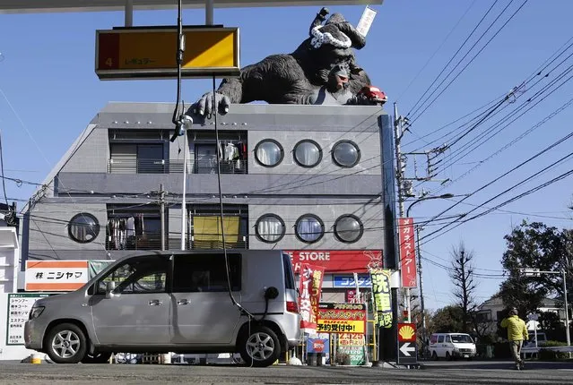 A gorilla statue is seen on top of a building in front of a Shell petrol station in Tokyo, January 9, 2015. (Photo by Toru Hanai/Reuters)