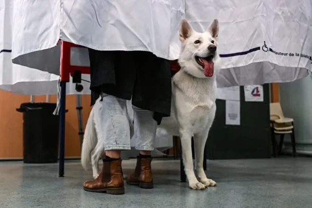 A voter with her dog prepares to cast her ballot in a voting booth for the first round of France's presidential election at a polling station in Marseille, southern France, on April 10, 2022. (Photo by Christophe Simon/AFP Photo)
