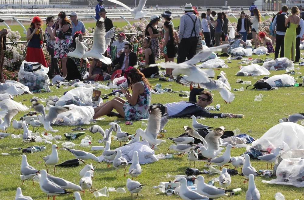 Melbourne Cup 2013 Fashion