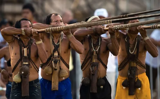Brazilian natives of the Matis tribe take part in a blowpipe event, during the first day of the International Games of Indigenous Peoples, in Cuiaba, state of Mato Grosso, on November 10, 2013. 1500 natives from 49 Brazilian ethnic groups and from another 17 countries are gathering in Cuiaba until November 16 to compete in some 30 athletic disciplines, many of their own. (Photo by Christophe Simon/AFP Photo)