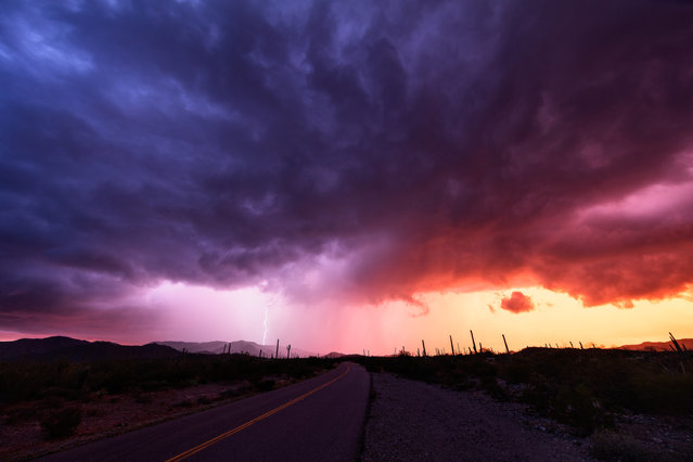 A stunning thunderstorm at sunset out in a remote area in Arizona, USA, 6 September 2016. (Photo by Mike Olbinski/Barcroft Images)