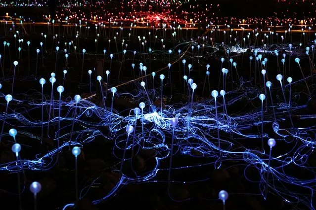 British-Australian artist Bruce Munro's public art installation “Field of Light”,  made of more than 17,000 solar-powered glowing colorful lights, sits lit at the Freedom Plaza near United Nations headquarters  in New York City, U.S., December 13, 2023. (Photo by Shannon Stapleton/Reuters)