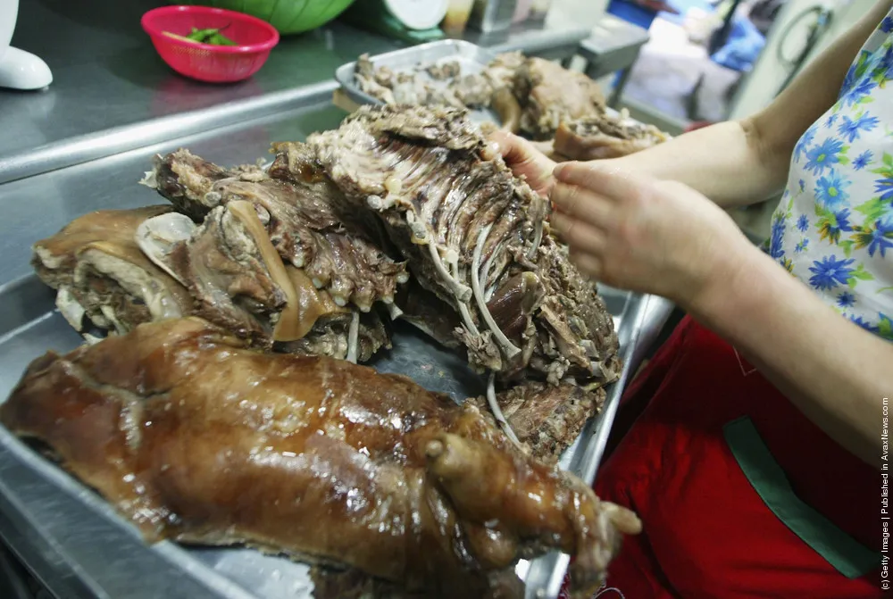 South Korean Restaurants Serve Dog Meat