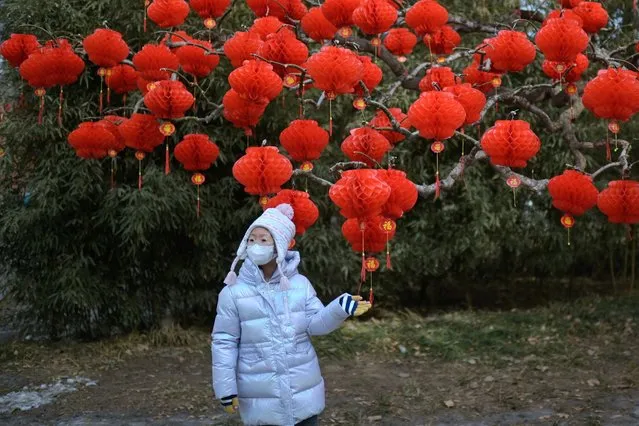 A girl poses with lantern ornaments at the festively decorated Ditan Park in Beijing on February 1, 2024, ahead of the Lunar New Year of the Dragon which falls on February 10. (Photo by Pedro Pardo/AFP Photo)