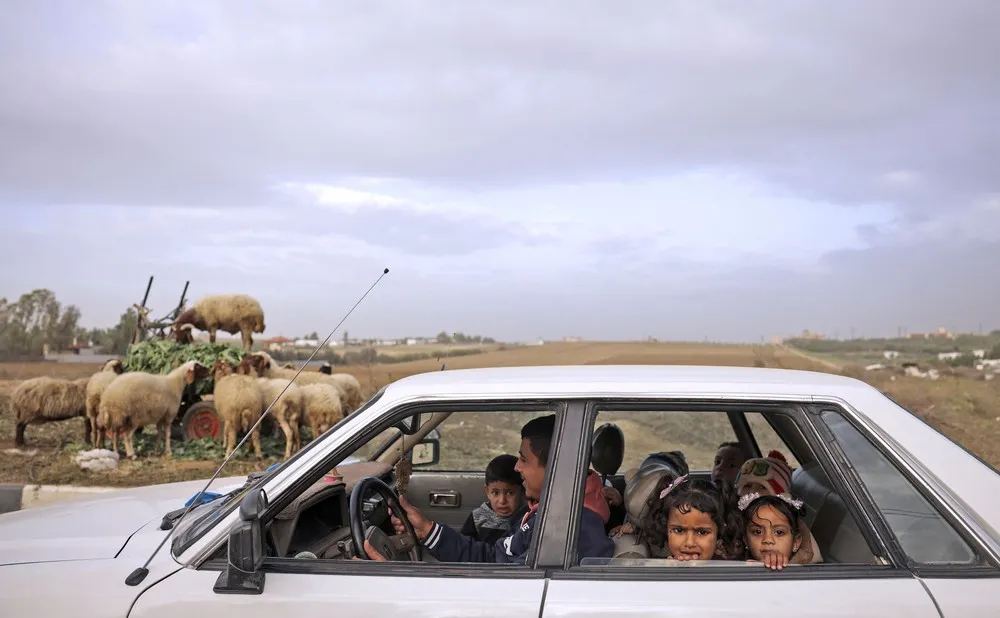 Palestinians Daily Life