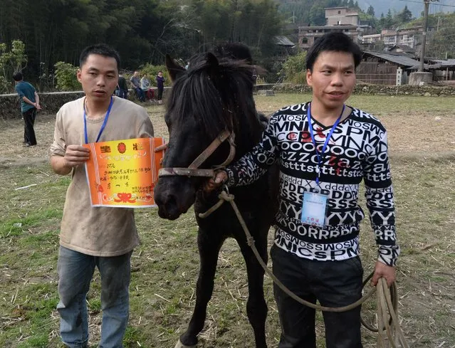 Horse Fighting In China