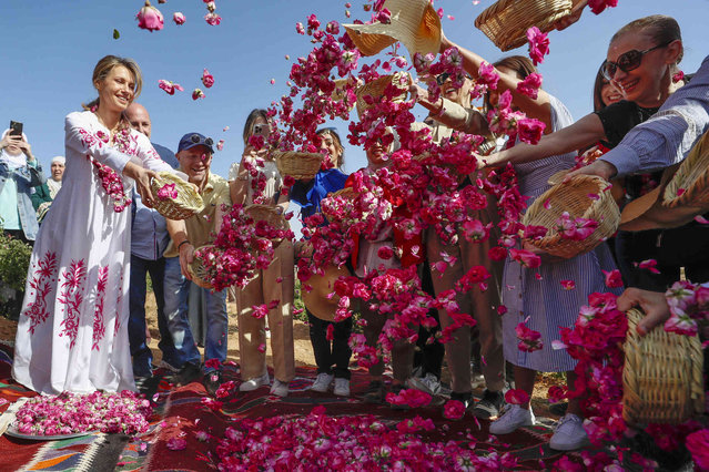 Syria's first lady, Asma Assad, left, the wife of Syrian President Bashar Assad, and others collect Damascene flowers after plucking them during the Damascene Rose Harvest Festival in the village of al-Marah in the mountainous region of Qalamoun, Syria, Thursday, May 25, 2023. The Damascene Rose Harvest Festival kicked off on Thursday in the village of al-Marah, in the Damascus countryside. (Photo by Omar Sanadiki/AP Photo)