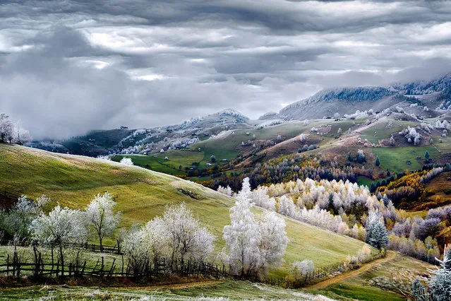 Merit: Romania, Land of Fairy Tales. Whitefrost over Pestera village in Romania. (Photo and caption by Eduard Gutescu/National Geographic Traveler Photo Contest)