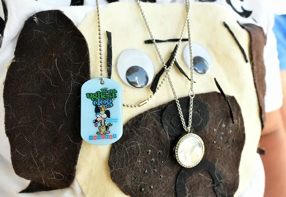 World’s Ugliest Dog Contest 2016