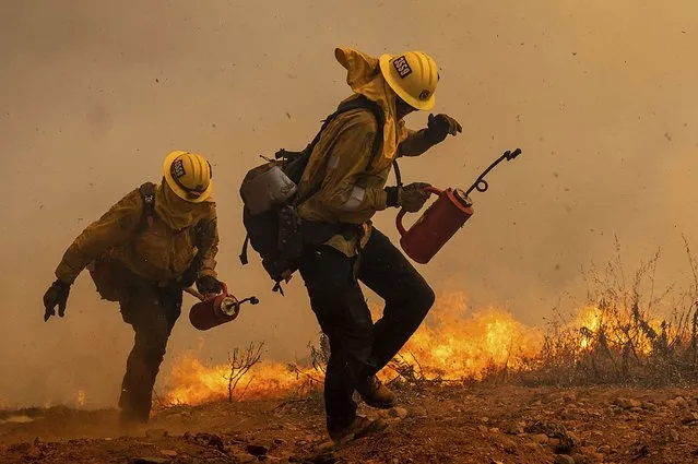 Firefighters burn vegetation while trying to keep the Electra Fire from reaching homes in the Pine Acres community of Amador County, Calif., on Tuesday, July 5, 2022. (Photo by Noah Berger/AP Photo)