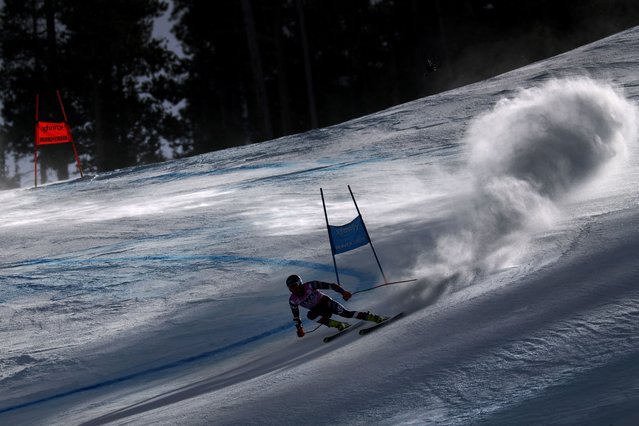 Bryce Bennett of the United States competes during the STIFEL Birds of Prey FIS World Cup - Beaver Creek Men's Super G at Beaver Creek Resort on December 07, 2024 in Beaver Creek, Colorado. (Photo by Sean M. Haffey/Getty Images)