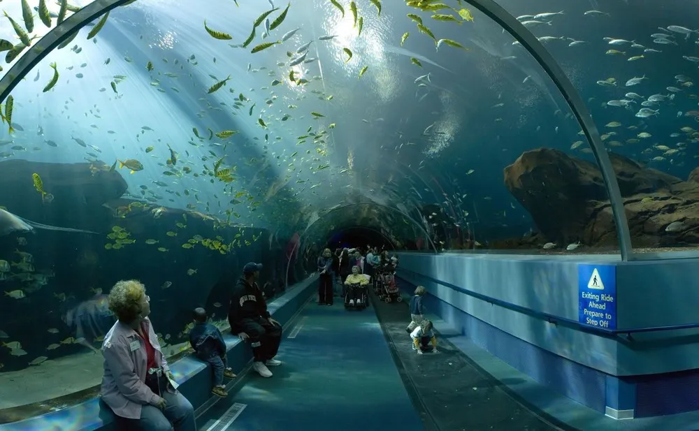 Okinawa Churaumi Aquarium