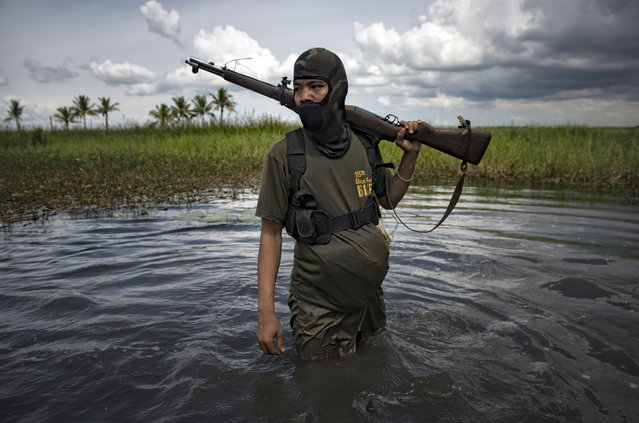 A Moro Islamic Liberation Front Fighter walks through a marshland going at the frontline of battle against extremists on August 22, 2017 in Maguindanao Province, Philippines. Philippines' largest Muslim militant group, the Moro Islamic Liberation Front (MILF) started an offensive attack against Muslim extremists who have pledged allegiance to the Islamic State, Bangsamoro Islamic Freedom Fighters (BIFF) more then 2 weeks ago in Maguindanao as an effort to stop IS influence from spreading in the volatile island of Mindanao.The MILF militant group recently forged a peace agreement with the Philippines government while pushing for an autonomous state in Mindanao and warned that a failed attempt could lead to more of its people towards extremism. 'Massive corruption and extreme poverty is still the reason why people join these extremist groups who has money. But we, as Muslims do not believe in what they are doing. ' says MILF fighter Moreed Mamalangkay. Over 24,000 people have fled their homes in Maguindanao according to recent reports while the battle between ISIS linked militants and government forces in the southern Muslim city of Marawi enters its fourth month, displacing thousands of civilians and killing over 700 people. (Photo by Jes Aznar/Getty Images)