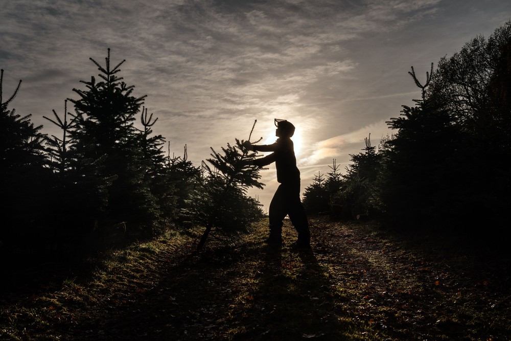 Some Photos: Silhouettes