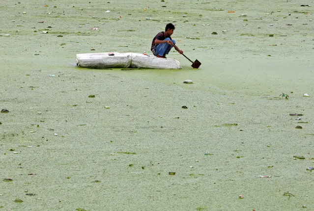 A boy rows his makeshift raft in the weed covered Sabarmati river in Ahmedabad, India July 27, 2016. (Photo by Amit Dave/Reuters)