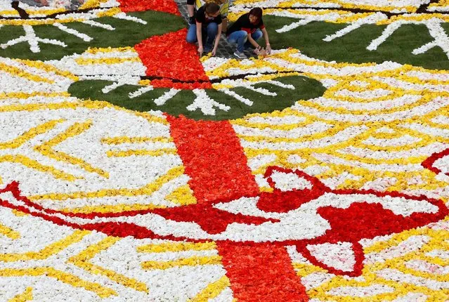 Volunteers arrange begonias and dahlias to form a giant flower carpet on Brussels' Grand Place celebrating the Belgo-Japanese friendship in Brussels, August 12, 2016. (Photo by Francois Lenoir/Reuters)