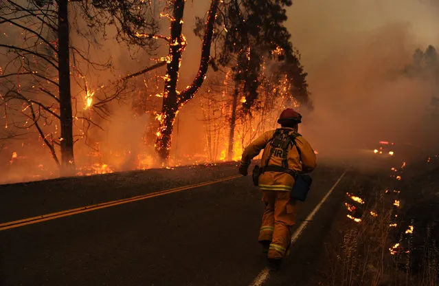 A firefighter runs to his fire truck southeast of Middletown, Calif., on Tuesday, September 15, 2015, as winds kick up flames. (Photo by Wally Skalij/Los Angeles Times/TNS)