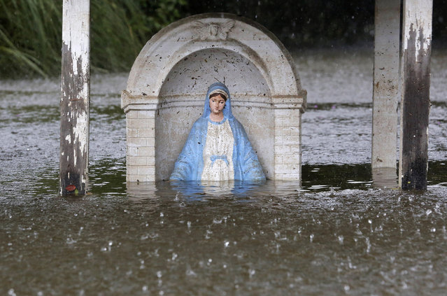 A statue of the Virgin Mary is seen partially submerged in flood water as it rains in Sorrento, Louisiana, U.S., August 20, 2016. (Photo by Jonathan Bachman/Reuters)