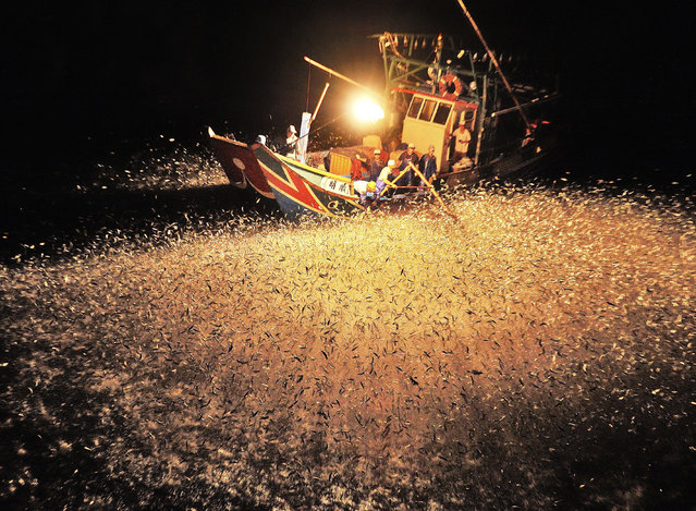 “The fishers catched fish in the night.They use the fire that made fish close the boat and got them”. (Photo and comment by Chang Ming Chih/National Geographic Photo Contest via The Atlantic)