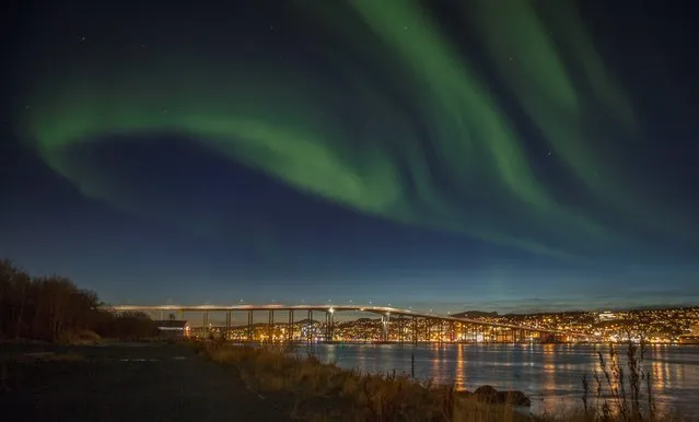 The northern lights, aurora borealis, are displayed over the city of Tromso in northern Norway Monday evening, October 20, 2014. Many clear skies this autumn have produced many spectacular displays of this natural phenomena so far this year. The northern lights are actually the result of collisions between gaseous particles in the Earth's atmosphere with charged particles released from the sun. (Photo by  Jan Morten Bjoernbakk/AP Photo/NTB Scanpix)