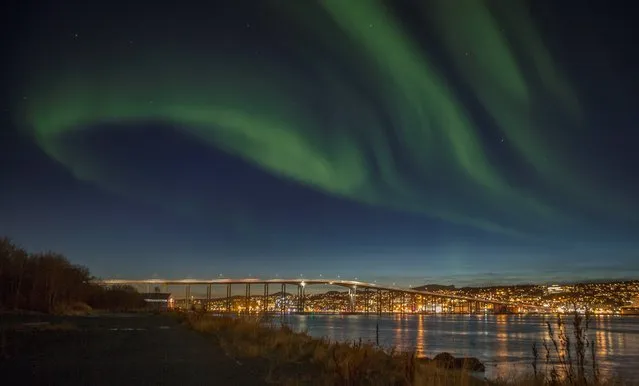 The northern lights, aurora borealis, are displayed over the city of Tromso in northern Norway Monday evening, October 20, 2014. Many clear skies this autumn have produced many spectacular displays of this natural phenomena so far this year. The northern lights are actually the result of collisions between gaseous particles in the Earth's atmosphere with charged particles released from the sun. (Photo by Jan Morten Bjoernbakk/AP Photo/NTB Scanpix)