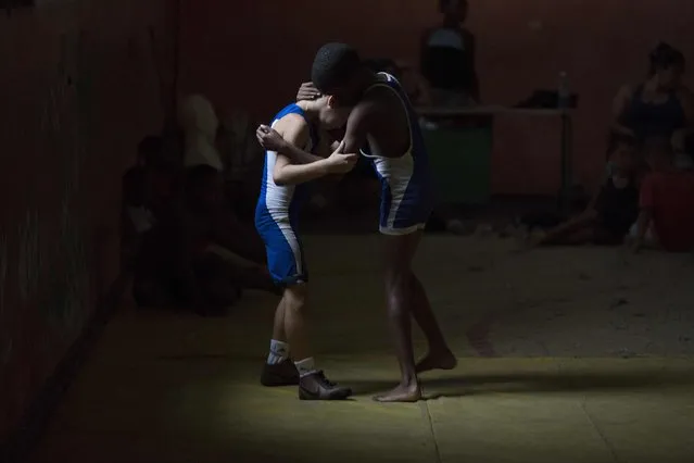 Children practice during a wrestling lesson in downtown Havana, October 23, 2014. Picture taken October 23, 2014. (Photo by Alexandre Meneghini/Reuters)