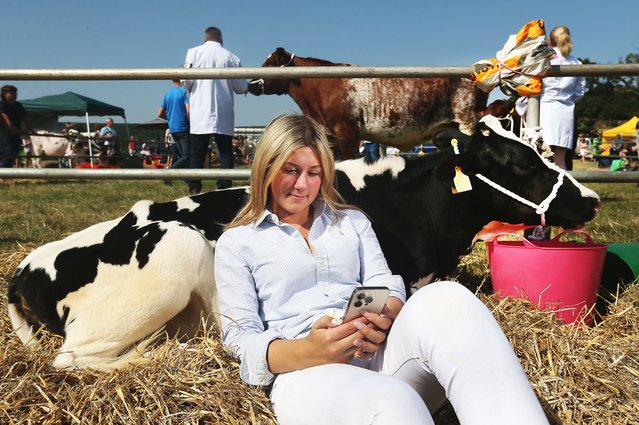 At the 163rd Danby Agricultural Show in North Yorkshire, UK, Ella Brown, 16, of Ugthorpe near Whitby leans against one of her family’s Holstein Friesian cattle on August 13, 2025. (Photo by Lorne Campbell/Guzelian)
