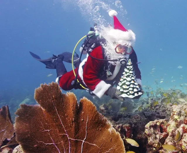 Spencer Slate, garbed as Santa Claus, scuba dives in the Florida Keys National Marine Sanctuary, off the coast of Islamorada, Florida, December 19, 2014 in this handout photo provided by the Florida Keys News Bureau December 20, 2014. (Photo by Frazier Nivens/Reuters/Florida Keys News Bureau)