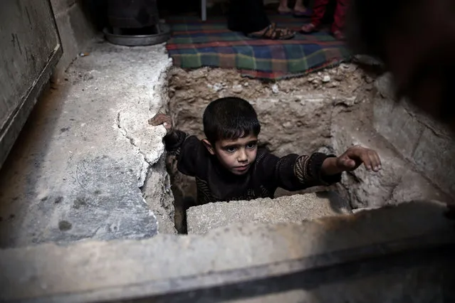A Syrian boy climbs out of Abu Omar's shelter in the rebel-held town of Douma, on the eastern outskirts of Damascus, on October 30, 2016. Abu Omar, with the help of his neighbour, was able to dig and prepare an underground shelter consisting of a single room in the space of 2 weeks. The shelter is 4 meters below ground and has an air vent for emergencies. (Photo by Sameer Al-Doumy/AFP Photo)