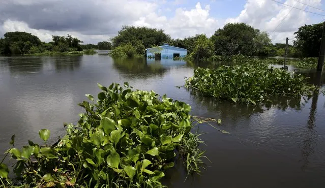 Houses partially submerged in floodwater are seen in the flood-affected Alberdi city, Paraguay, January 5, 2016. (Photo by Jorge Adorno/Reuters)