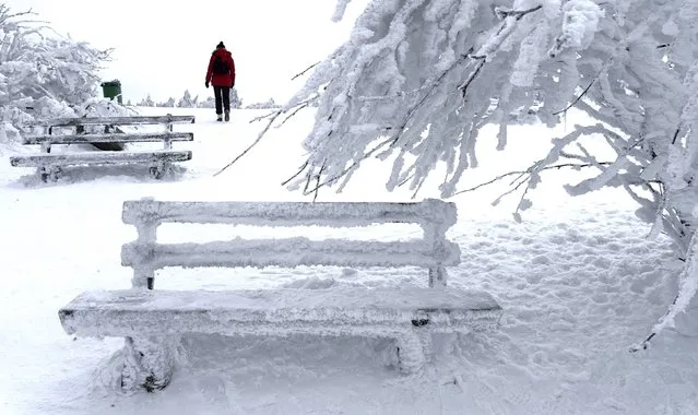 A woman walks past snow and ice covered trees and benches on top of the Feldberg mountain during a winter day, around 20km outside of Frankfurt, February 5, 2015. (Photo by Kai Pfaffenbach/Reuters)