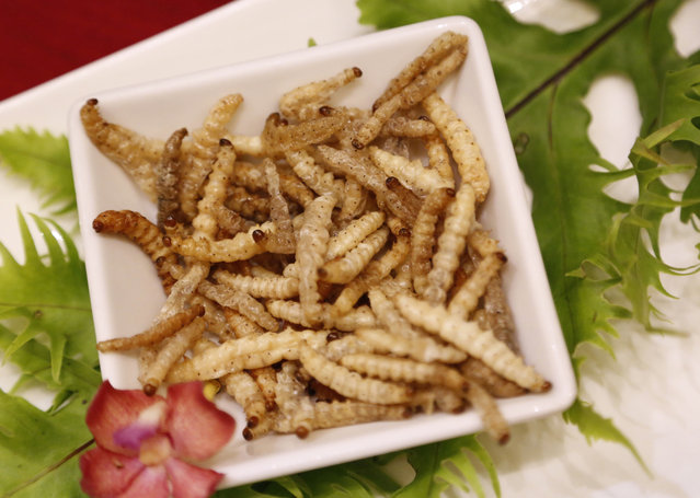 In this Thursday, February 19, 2015 photo, bamboo worms, one of the ingredients used in “Bamboo Worm Bites”, one of the dishes served at a seminar at Le Cordon Bleu cooking school. (Photo by Sakchai Lalit/AP Photo)