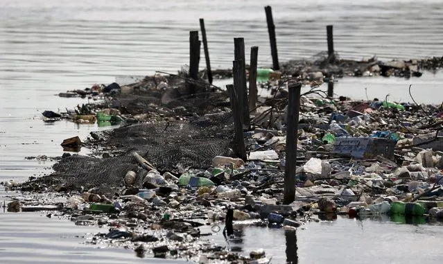 Rubbish covers the banks of Cunha channel, which flows into Guanabara Bay, in Rio de Janeiro March 20, 2015. (Photo by Sergio Moraes/Reuters)