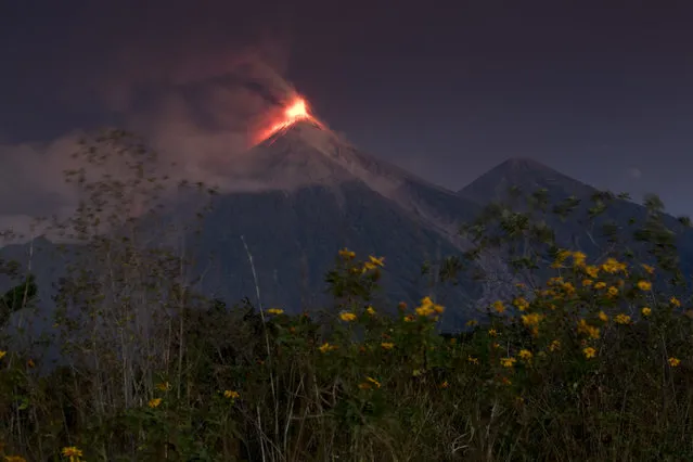 The Volcan de Fuego, or Volcano of Fire, spews hot molten lava from its crater in Escuintla, Guatemala, early Monday, November 19, 2018. Disaster coordination authorities have asked several communities in Guatemala to evacuate and go to safe areas after an increased eruption of the Volcano of Fire. (Photo by Moises Castillo/AP Photo)