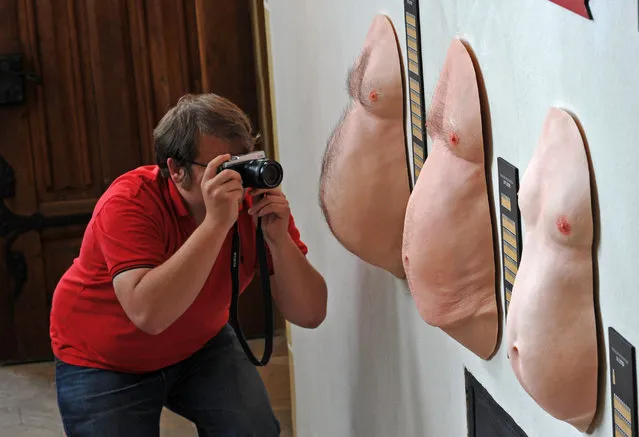 A man photographs the average beer bellies of the Saxons (L), the Germans (C), and the Hessians (R) in the new special exhibition “Prost! 1,000 Years of Beer in Saxony” in Meissen, Germany, April 17, 2015. (Photo by Matthias Hiekel/EPA)