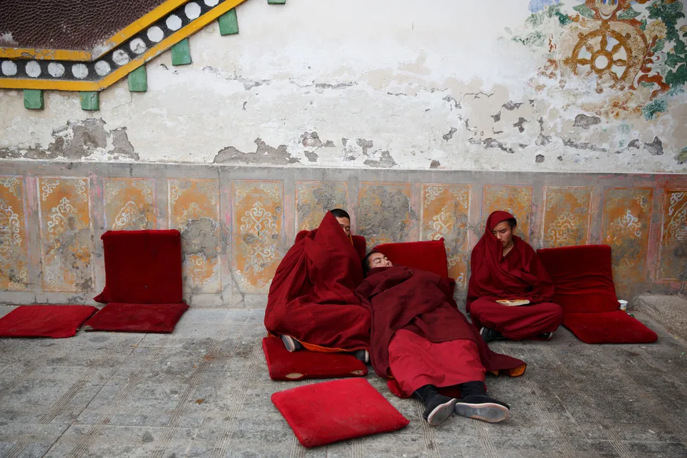 The Day in Photos – March 14, 2019